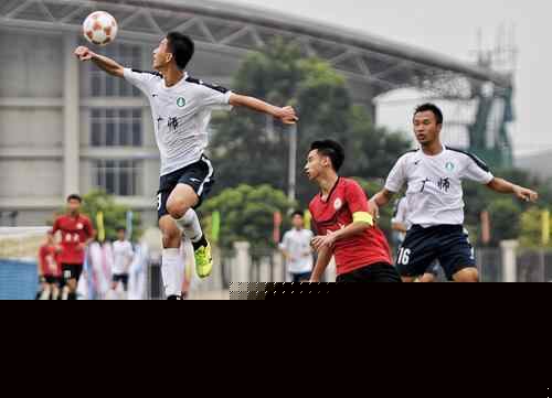 山东力克青岛晋级CBA杯八强，对阵浙江